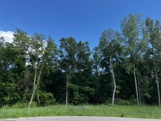 1166 Boulder Creek Ln SW, Rochester, MN 55902