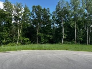 1166 Boulder Creek Ln SW, Rochester, MN 55902