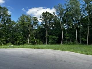 1166 Boulder Creek Ln SW, Rochester, MN 55902
