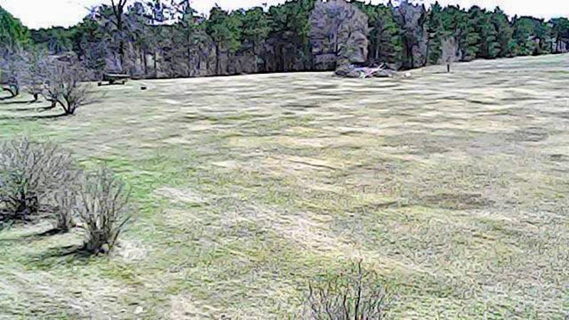 TBD Elk Loop, Long Prairie, MN 56347