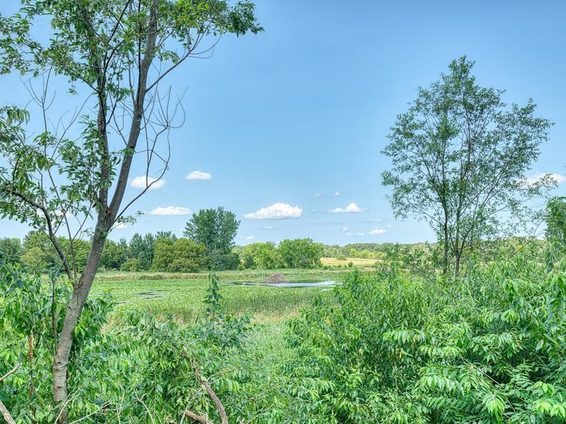 4038 153rd Ln NW, Andover, MN 55304