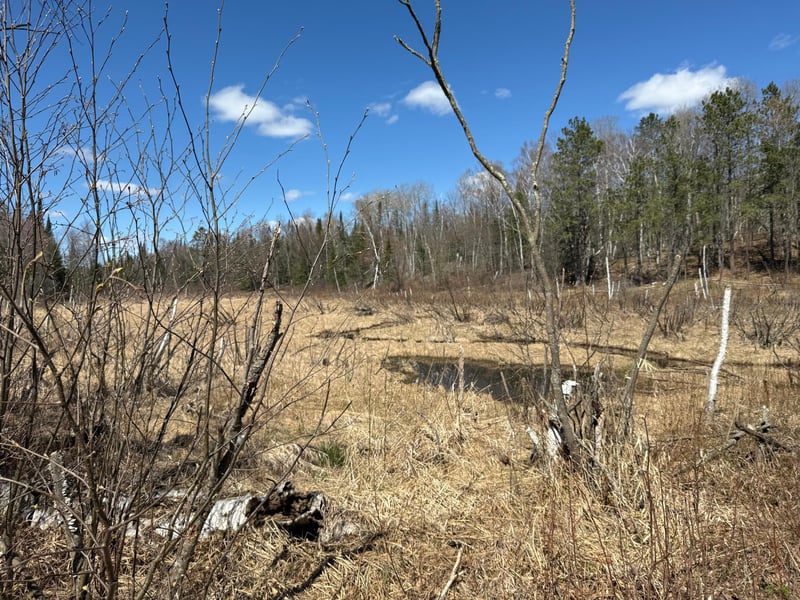 Lot 7 Block 1 Yellow Birch Ln, Emily, MN 56447