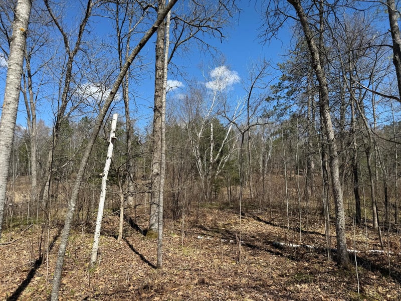 Lot 7 Block 1 Yellow Birch Ln, Emily, MN 56447