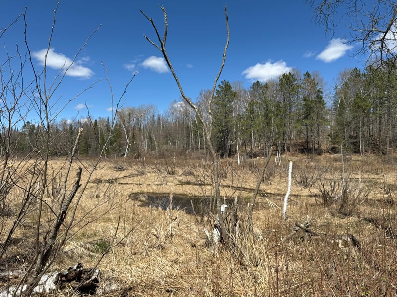 Lot 7 Block 1 Yellow Birch Ln, Emily, MN 56447