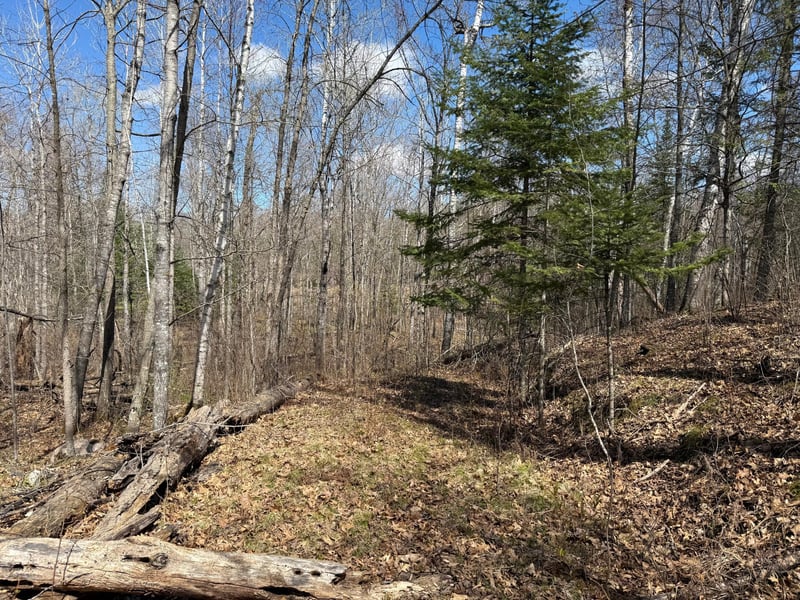 Lot 7 Block 1 Yellow Birch Ln, Emily, MN 56447