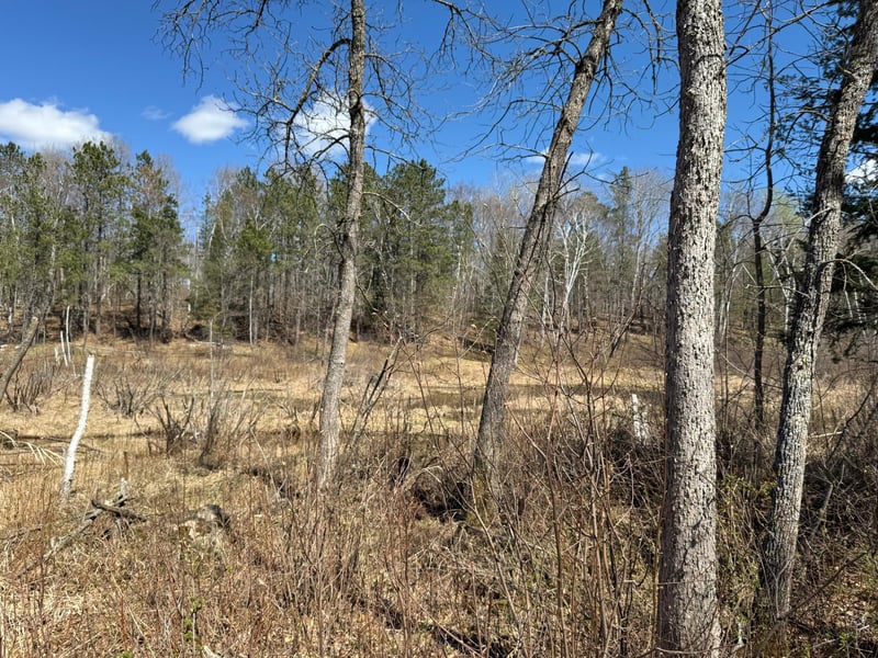 Lot 7 Block 1 Yellow Birch Ln, Emily, MN 56447