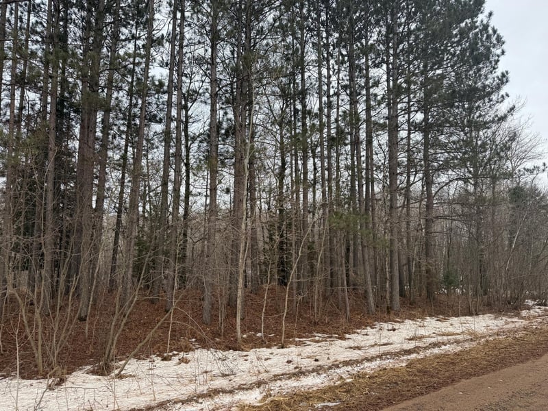 NA Friesland, Hinckley, MN 55037