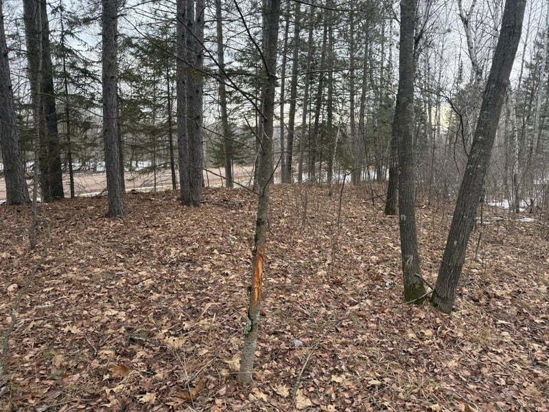 NA Friesland, Hinckley, MN 55037