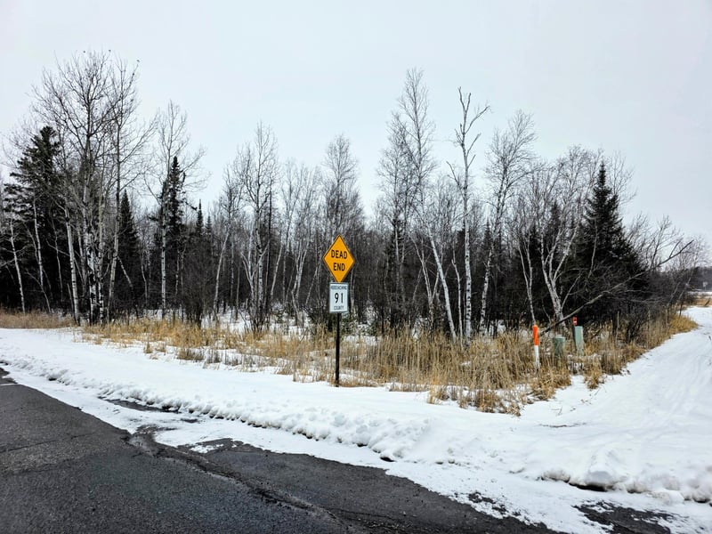 TBD County Road 91, International Falls, MN 56649