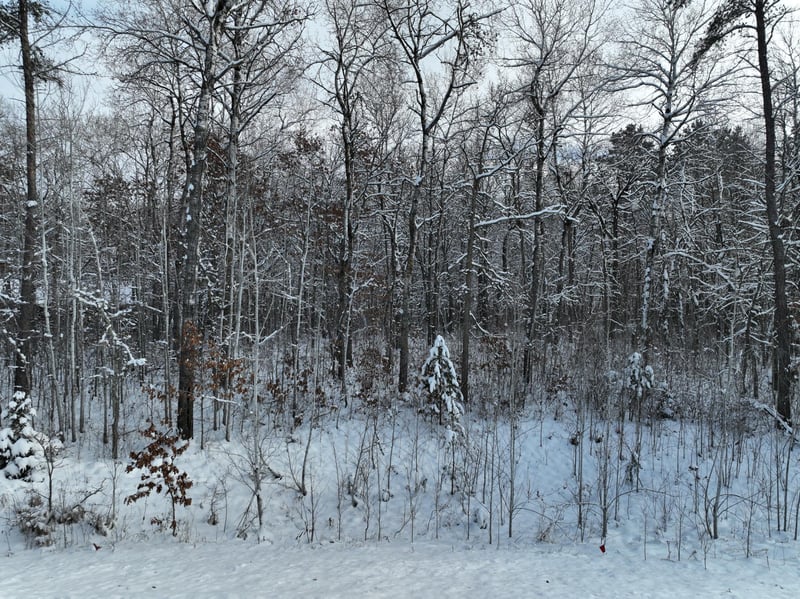 TBD Drake Cir, Pine River, MN 56474