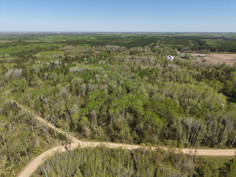 TBD 8 Bog Lake Trl, Osage, MN 56570