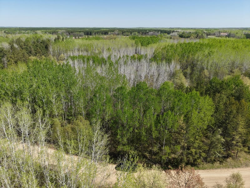 TBD 10 Bog Lake Trl, Osage, MN 56570