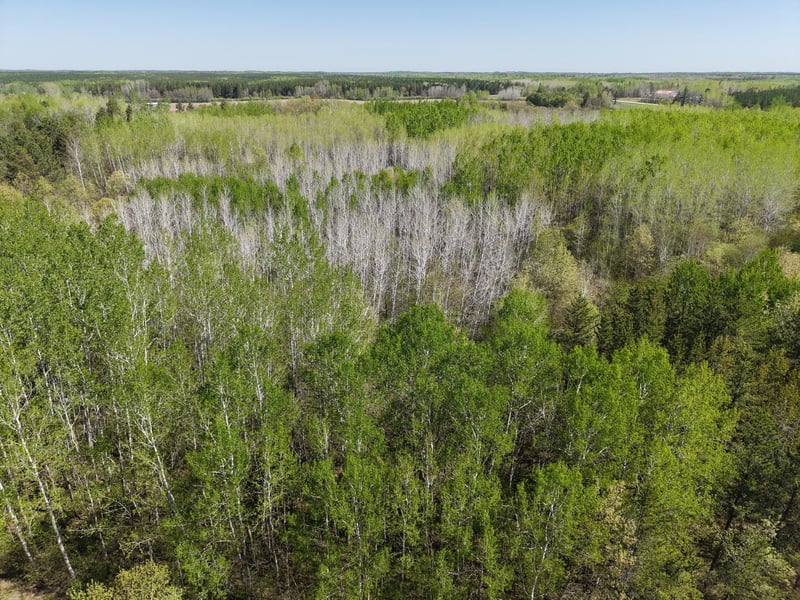 TBD 10 Bog Lake Trl, Osage, MN 56570