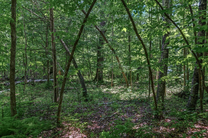 25xxx Itasca Ave, Forest Lake, MN 55025