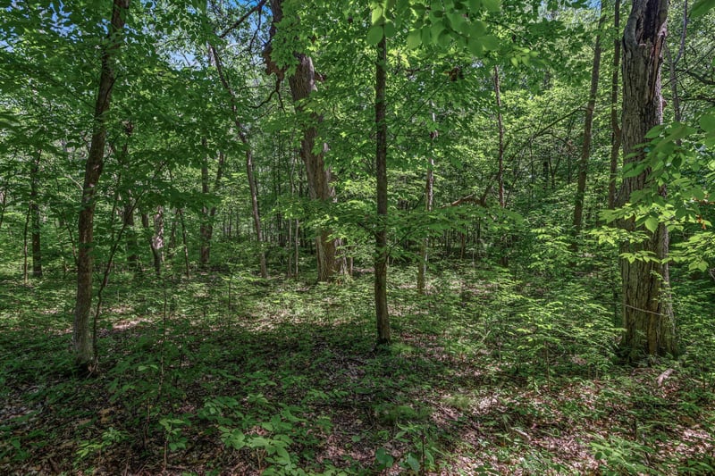 25xxx Itasca Ave, Forest Lake, MN 55025