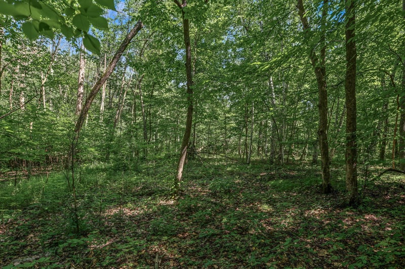25xxx Itasca Ave, Forest Lake, MN 55025
