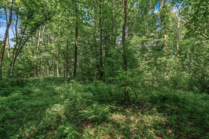 25179 Itasca Ave, Forest Lake, MN 55025