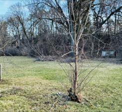 16XX Woodbury Rd, Newport, MN 55055