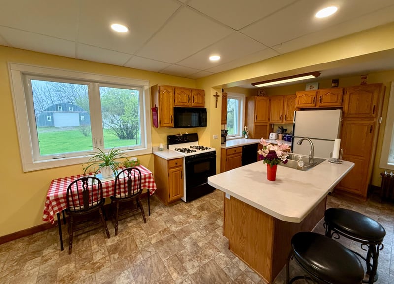 79955 360th St, Olivia, MN 56277