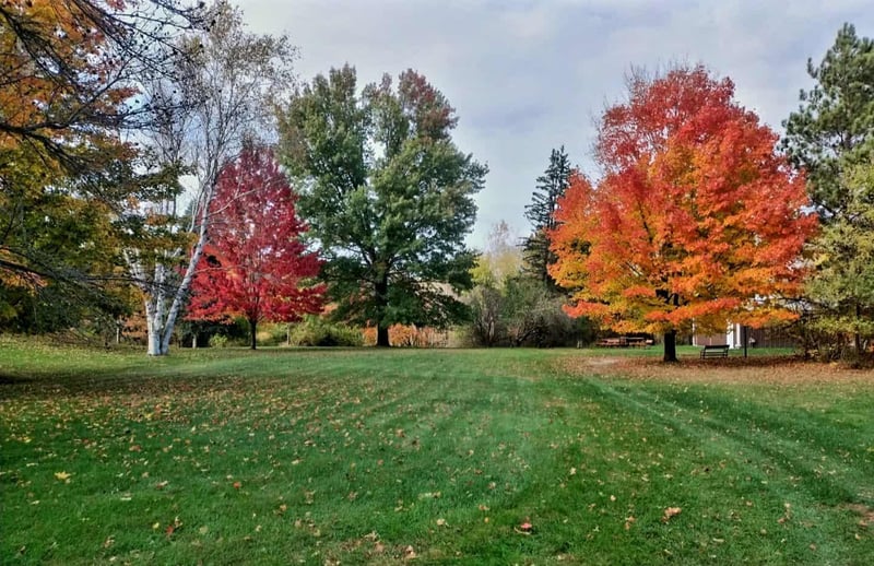 7331 175th Ave NW, Ramsey, MN 55303
