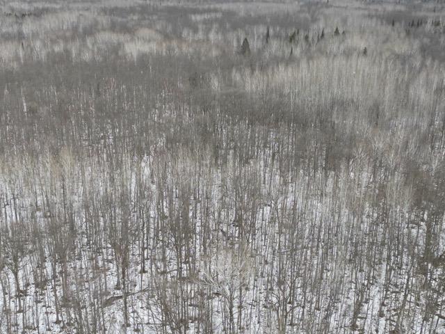TBD Spangrud Ct NE, Kelliher, MN 56650