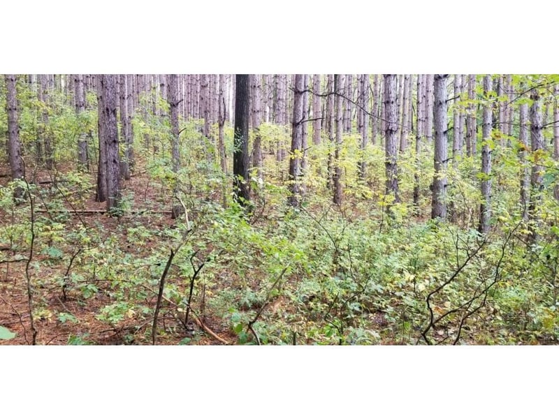 Lot 3 Paulsen Lake Ln, Osceola, WI 54020