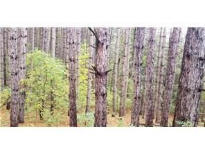 Lot 3 Paulsen Lake Ln, Osceola, WI 54020