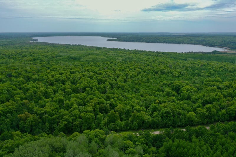 TBD 315th Ave, Laporte, MN 56461