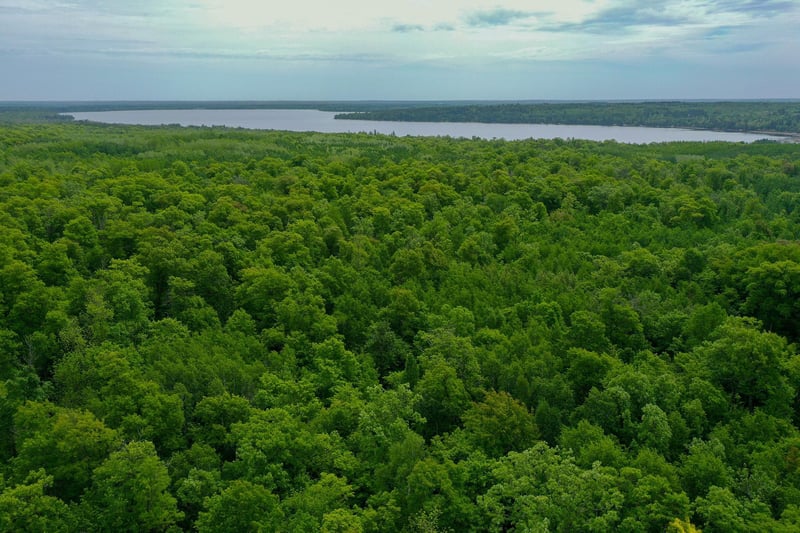 TBD 315th Ave, Laporte, MN 56461