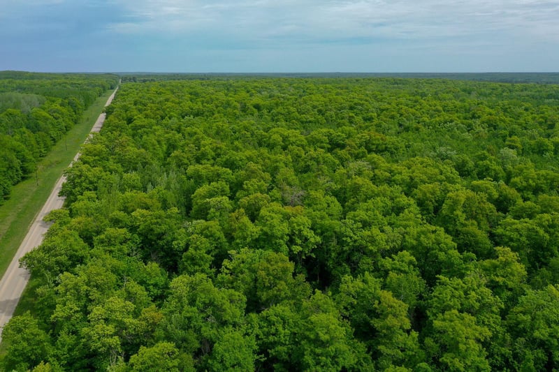 TBD 315th Ave, Laporte, MN 56461