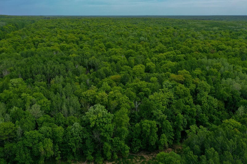 TBD 315th Ave, Laporte, MN 56461