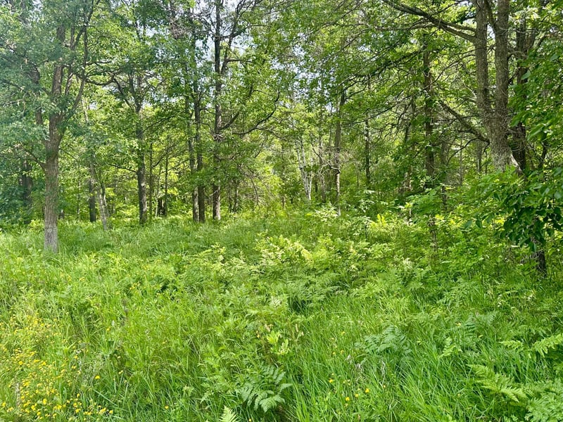 Lot 2 Blk 1 Eagle Dr NW, Walker, MN 56484