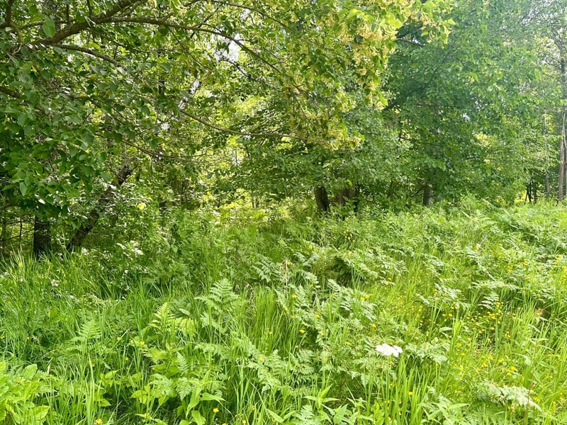 Lot 2 Blk 1 Eagle Dr NW, Walker, MN 56484