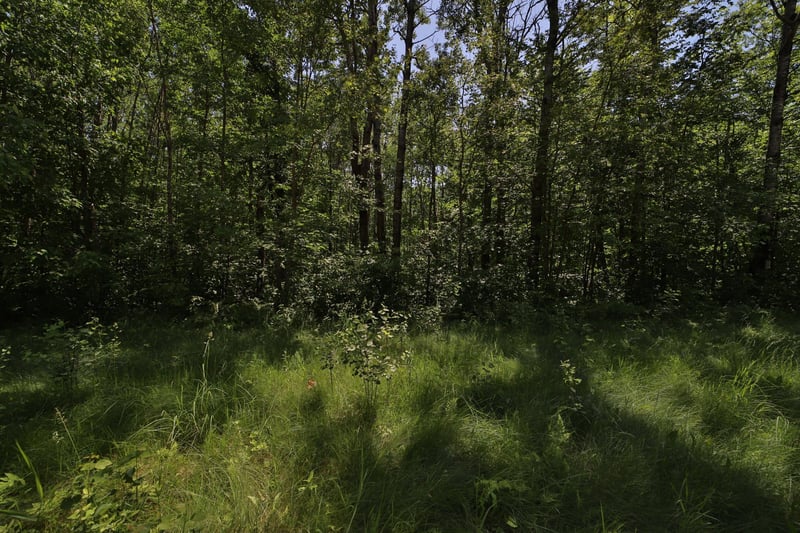 Tract C Olander Rd, Crosby, MN 56441