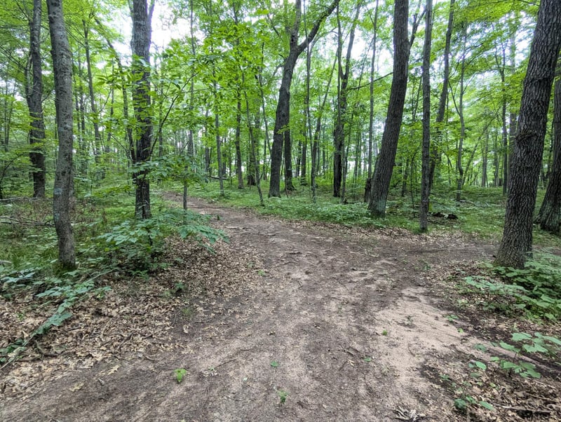 Lot 2 Fosmo, Webster, WI 54893