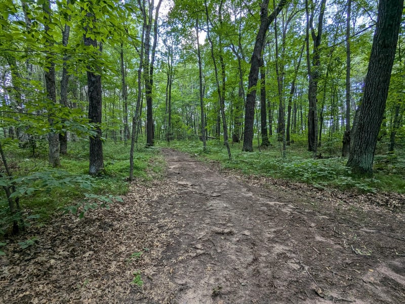 Lot 2 Fosmo, Webster, WI 54893