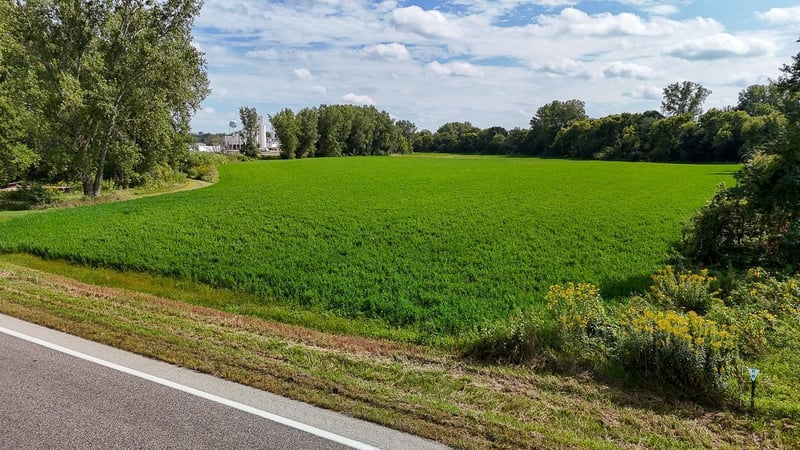 16800 County 168 Blvd, Zumbrota, MN 55992