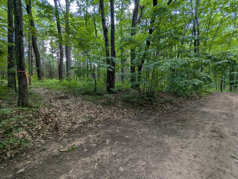 Lot 5 Fosmo, Webster, WI 54893