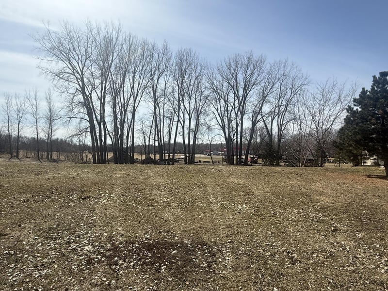 TBD Trailstone Dr, Cokato, MN 55321