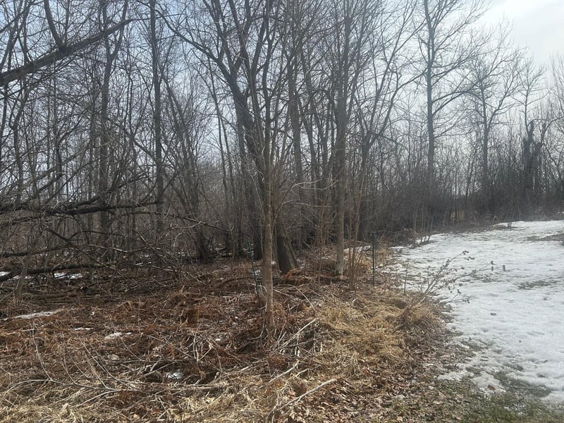 TBD Tbd, Hill City, MN 55748