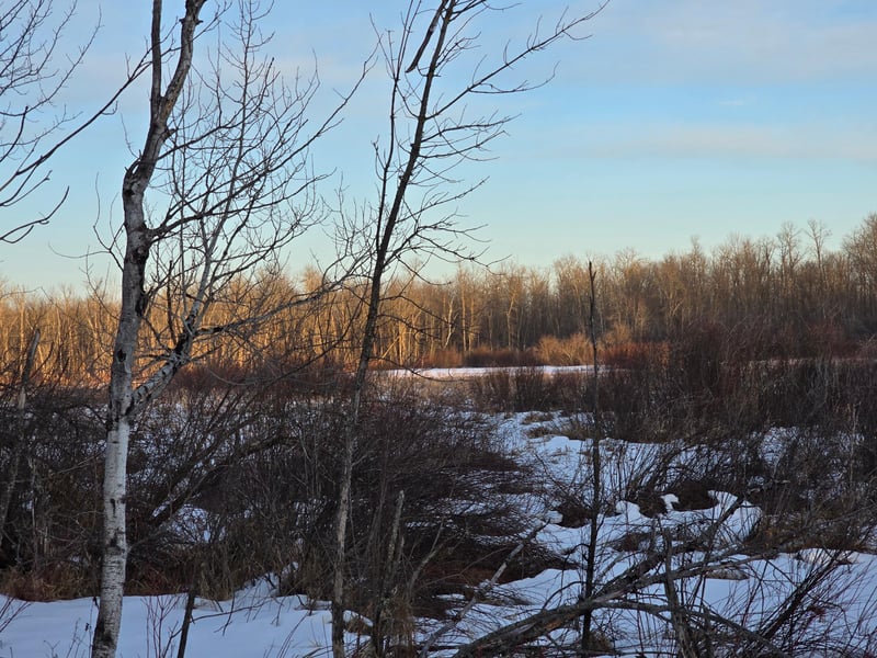 TBD Highway 47, Isle, MN 56342