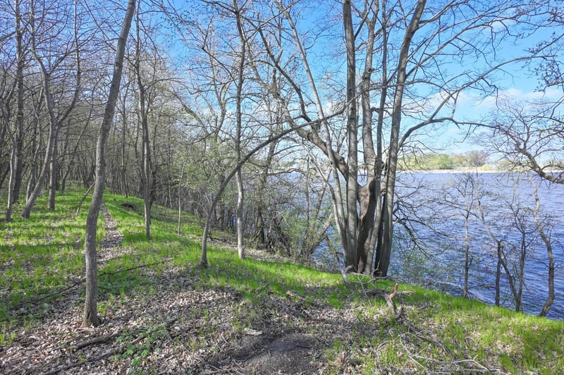 11115 350th Ave, Farwell, MN 56327