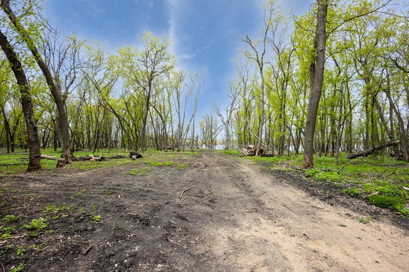 11115 350th Ave, Farwell, MN 56327