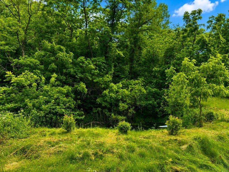 24345 E Burns Valley Rd, Winona, MN 55987