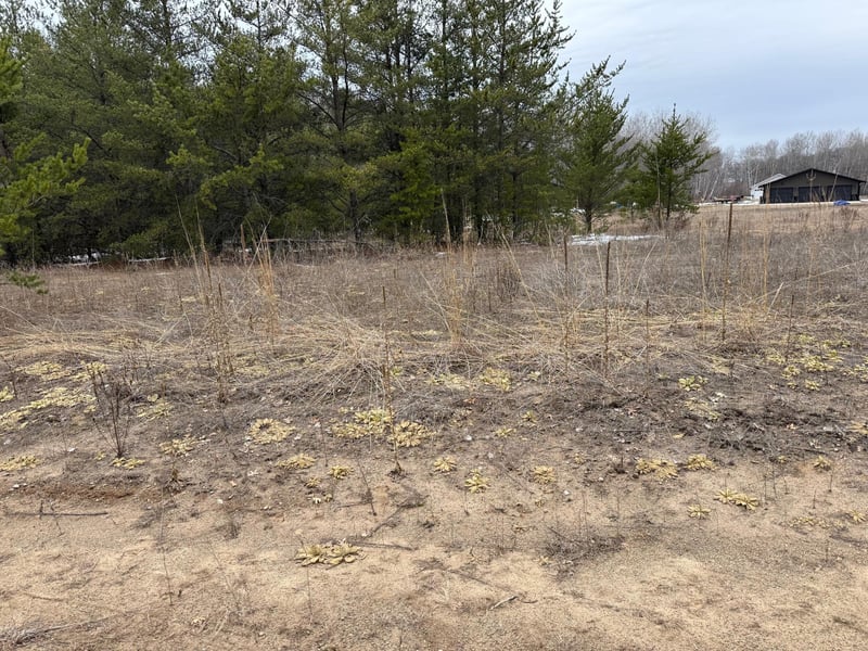 1707 Hassman Hill Tract B Rd SW, Pine River, MN 56474