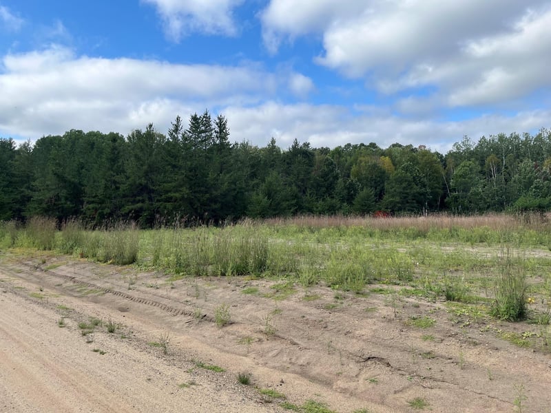 1707 Hassman Hill Tract B Rd SW, Pine River, MN 56474