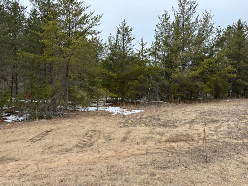 1707 Hassman Hill Tract B Rd SW, Pine River, MN 56474