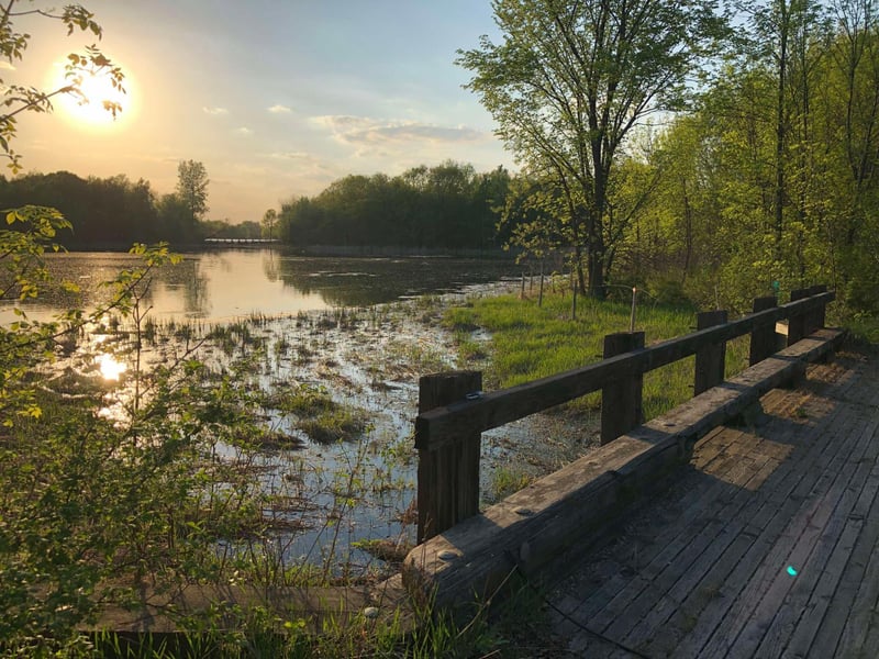981 Peninsula Point Rd, Shakopee, MN 55379