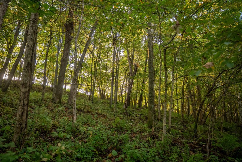 32765 County Road 1, La Crescent, MN 55947