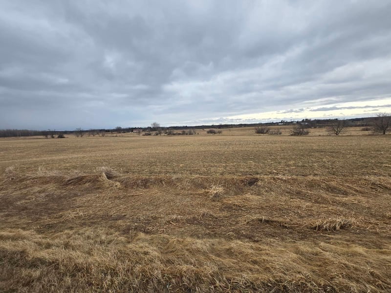 Lot 1 Rush Lake Trl, Braham, MN 55006